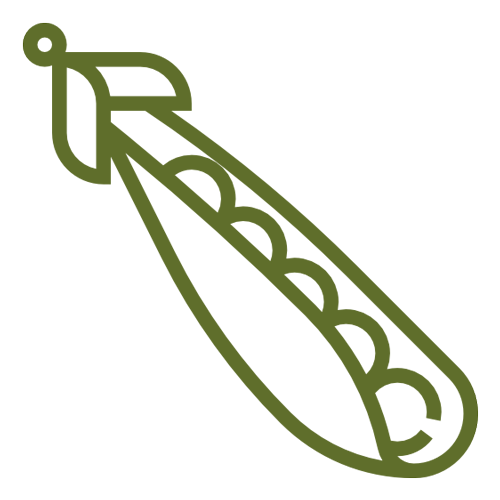 Granja de Loto Textil de Kapok