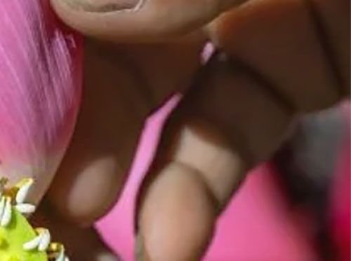 Granja de Loto Tradición se encuentra con la innovación 2/4