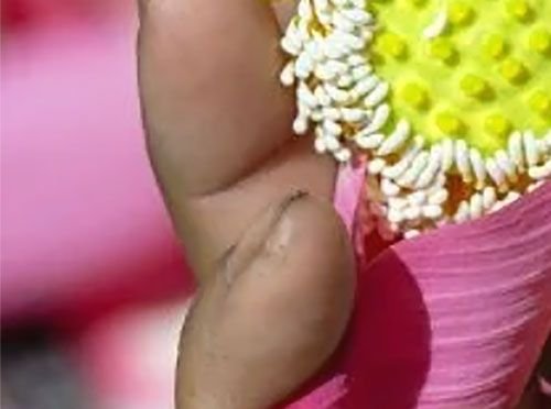 Granja de Loto Tradición se encuentra con la innovación 3/4