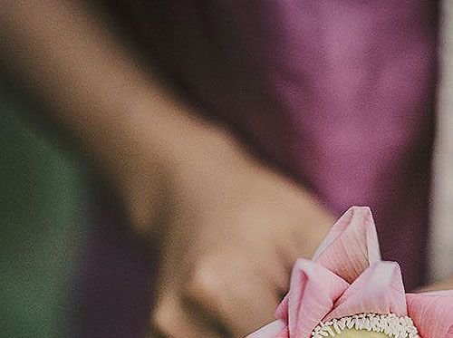 Lotus Farm B2B Partner in sustainable luxury 1/4