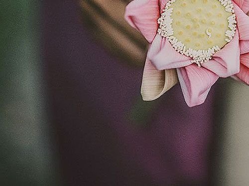 Granja de Loto B2B Compañero en el lujo sostenible 3/4