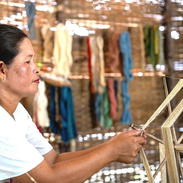 Granja de Loto Descubre nuestro proceso