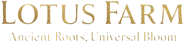 Lotus Farm, Ancient roots, Universal Bloom, Siem Reap