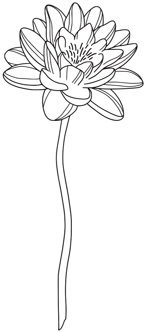 Lotus Farm Lotus leather carving workshop