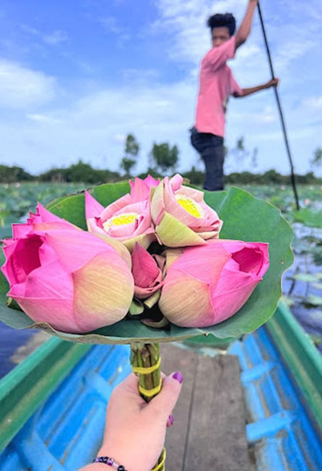 Lotus Farm Package Lake experience