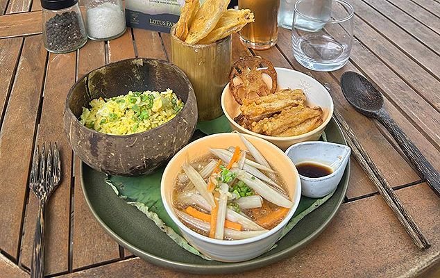 Lotus Farm Option Khmer lunch Kitchen